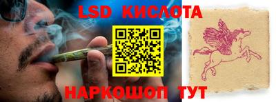 прущие грибы Краснознаменск