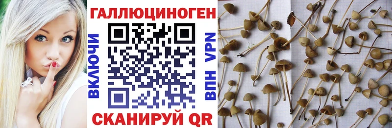 наркотики Котовск Галлюциногенные грибы Magic Shrooms