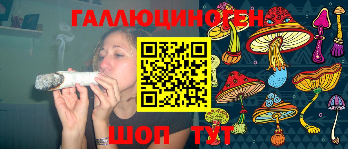 Псилоцибиновые грибы Psilocybe  Галлюциногенные грибы Psilocybe  закладки  Котовск  Вход с VPN 