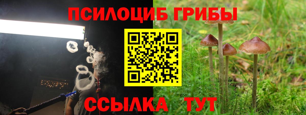 Псилоцибиновые грибы мухоморы Котовск